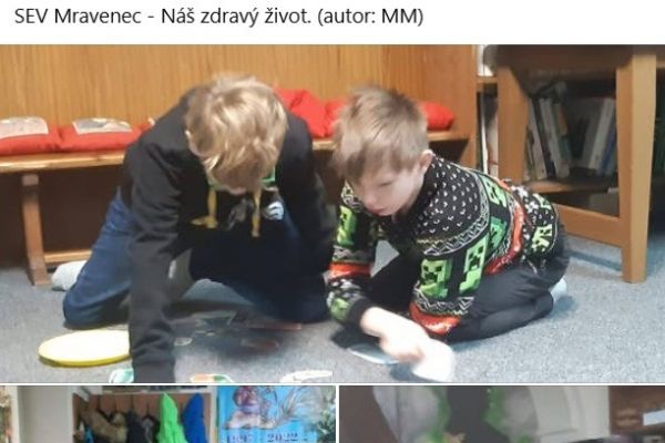mravenec zdravý život
