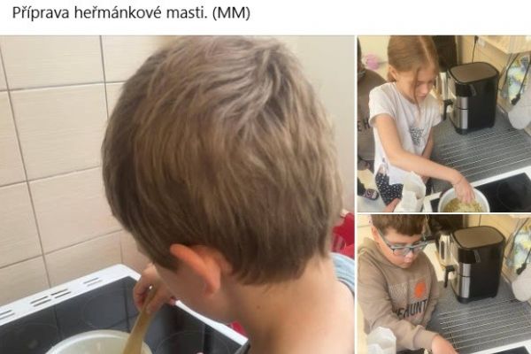 ZŠ II - Heřmánková mast