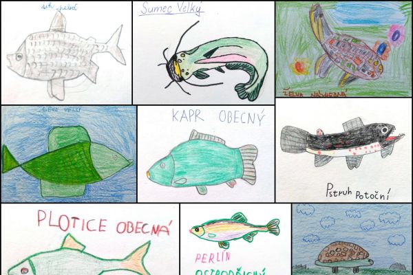 fish